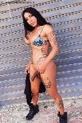 Foto Hot Sabry Annunci Sexy Trans Recife 005581995397865 - 3
