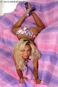 Foto New Raffaella Annunci Sexy Trans Offenbach 004915143341120 - 8