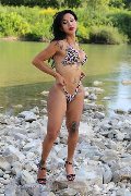 Foto Adriana Paulett Annunci Sexy Trans Paese 3891399263 - 81