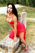 Foto Adriana Paulett Annunci Sexy Trans Paese 3891399263 - 49