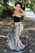 Foto Adriana Paulett Annunci Sexy Trans Paese 3891399263 - 32
