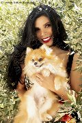 Foto Ariadna Annunci Sexy Trans Bologna 3887519396 - 62