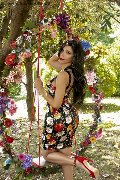 Foto Ariadna Annunci Sexy Trans Bologna 3887519396 - 76