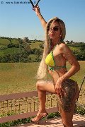 Foto Bruna Xxl Annunci Sexy Trans Parma 3295914684 - 4