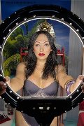 Foto Desirre Annunci Sexy Trans Alessandria 3922832689 - 7