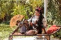 Foto Diana Ferraz Annunci Sexy Trans Altopascio 3271287566 - 103