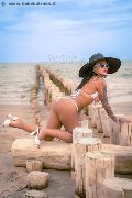 Foto Diana Marini Annunci Sexy Trans Quartucciu 3280291220 - 55