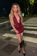 Foto Duda Castro Annunci Sexy Trans Milano 3293898373 - 49