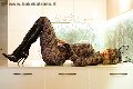 Foto Fernanda Ambrosio Annunci Sexy Trans Milano 3277803350 - 17
