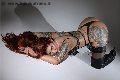 Foto Foxxy Jasmine Annunci Sexy Trans Torino 3472169085 - 16