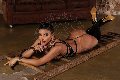 Foto Hillana Maya Annunci Sexy Trans Parma 3515831873 - 7