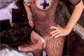 Foto Hot Ale Cavallona Annunci Sexy Trans Legnano 3508935739 - 12