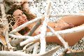 Foto Hot Giselly Bella Annunci Sexy Trans Villa Rosa 3518461907 - 9