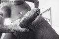 Foto Hot Paula Xxl Annunci Sexy Trans Cannes 3762961336 - 3