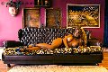 Foto Jessica Aryani Annunci Sexy Trans Ponte Chiasso 3932507943 - 23