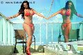 Foto Letizia Sallis Pornostar Annunci Sexy Trans Borghetto Santo Spirito 3883037099 - 228