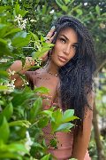 Foto Mandy Asiatica Annunci Sexy Trans Firenze 3270531479 - 5