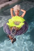 Foto Nina La Divina Annunci Sexy Trans Ibiza 0034617911341 - 85