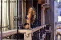 Foto Rayca Annunci Sexy Trans San Gallo 3485638746 - 256