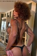 Foto Riccia Annunci Sexy Trans Torino 3663044467 - 16
