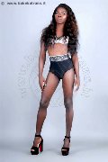 Foto Safira Snt'z  Annunci Sexy Trans Alba Adriatica 3278243596 - 46