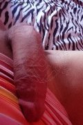 Isernia Trans Alessandra Dior 371 52 12 112 foto selfie 88