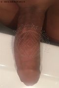 Madrid Trans Angeles Cid  0034627345057 foto selfie 13