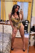 Alba Adriatica Trans Emme 333 16 48 972 foto selfie 148