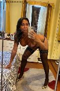 Alba Adriatica Trans Emme 333 16 48 972 foto selfie 130