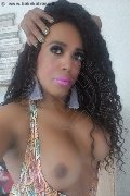 Milano Trans Paolina Mulatta 333 29 10 933 foto selfie 25