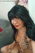 Prato Trans Taina Oliveira 328 53 82 487 foto selfie 3