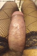 Milano Trans Virna La Super Dotata 349 43 93 969 foto selfie 7