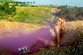 Foto Ts Angelina Crazy Sexy Annunci Sexy Trans Francoforte 00491788993648 - 21