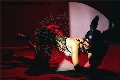 Foto Vanessa Hilton Annunci Sexy Trans Modena 3245846577 - 132