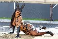 Foto Hillary Brasiliana Annunci Sexy Trans Bologna 3384136322 - 78
