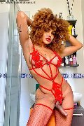 Foto Hot Stella Annunci Sexy Trans Milano 3295563971 - 5