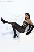 Foto Nick Miller Annunci Sexy Trans Rimini 3382945956 - 50
