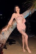 Foto Nick Miller Annunci Sexy Trans Verona 3382945956 - 56