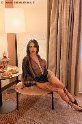 Foto Nick Miller Annunci Sexy Trans Verona 3382945956 - 28