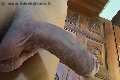 Gallarate Trans Sofia 347 30 29 531 foto selfie 30