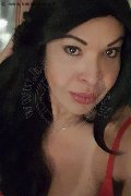 Prato Trans Tain� Oliveira 328 53 82 487 foto selfie 96